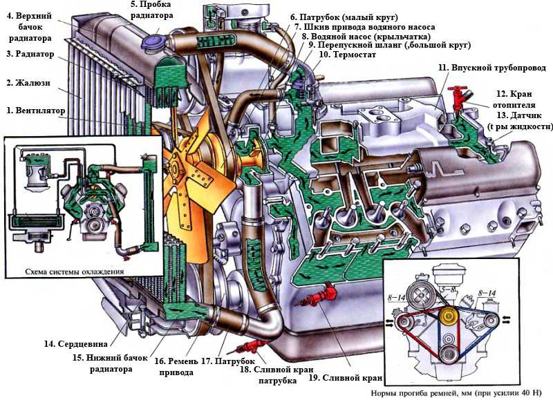 Принцип работы системы охлаждения двигателя