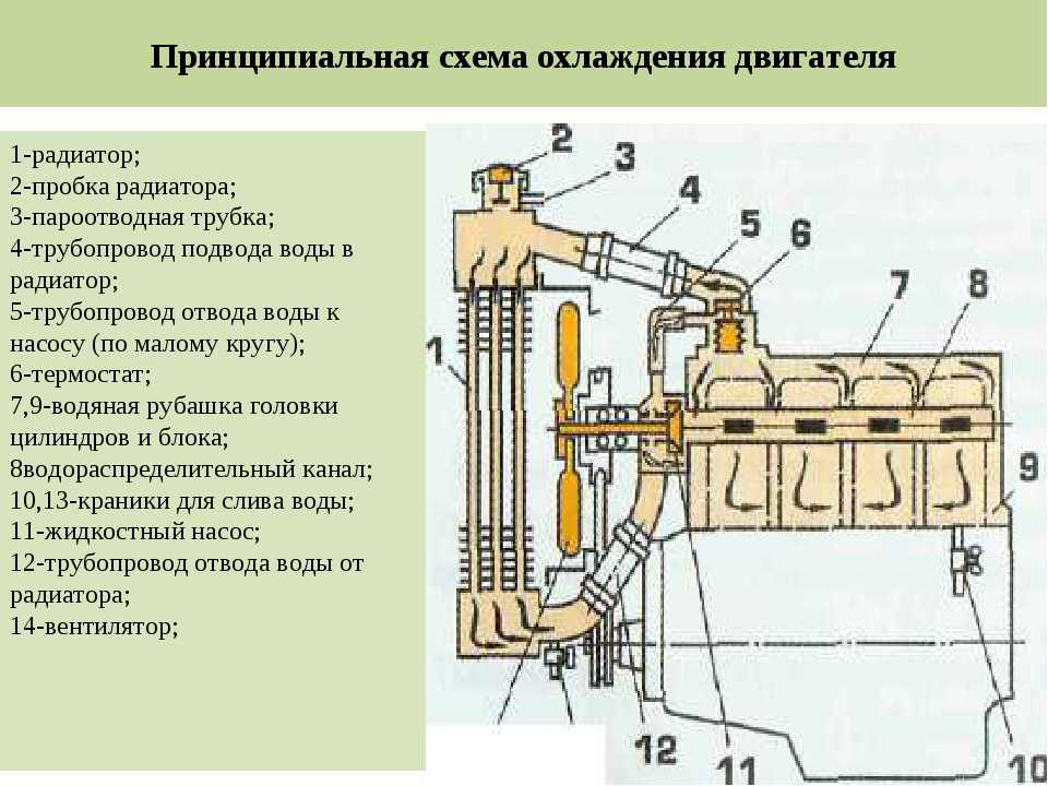 Устройство системы охлаждения двигателя